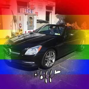 Meet your Posher, Sandy